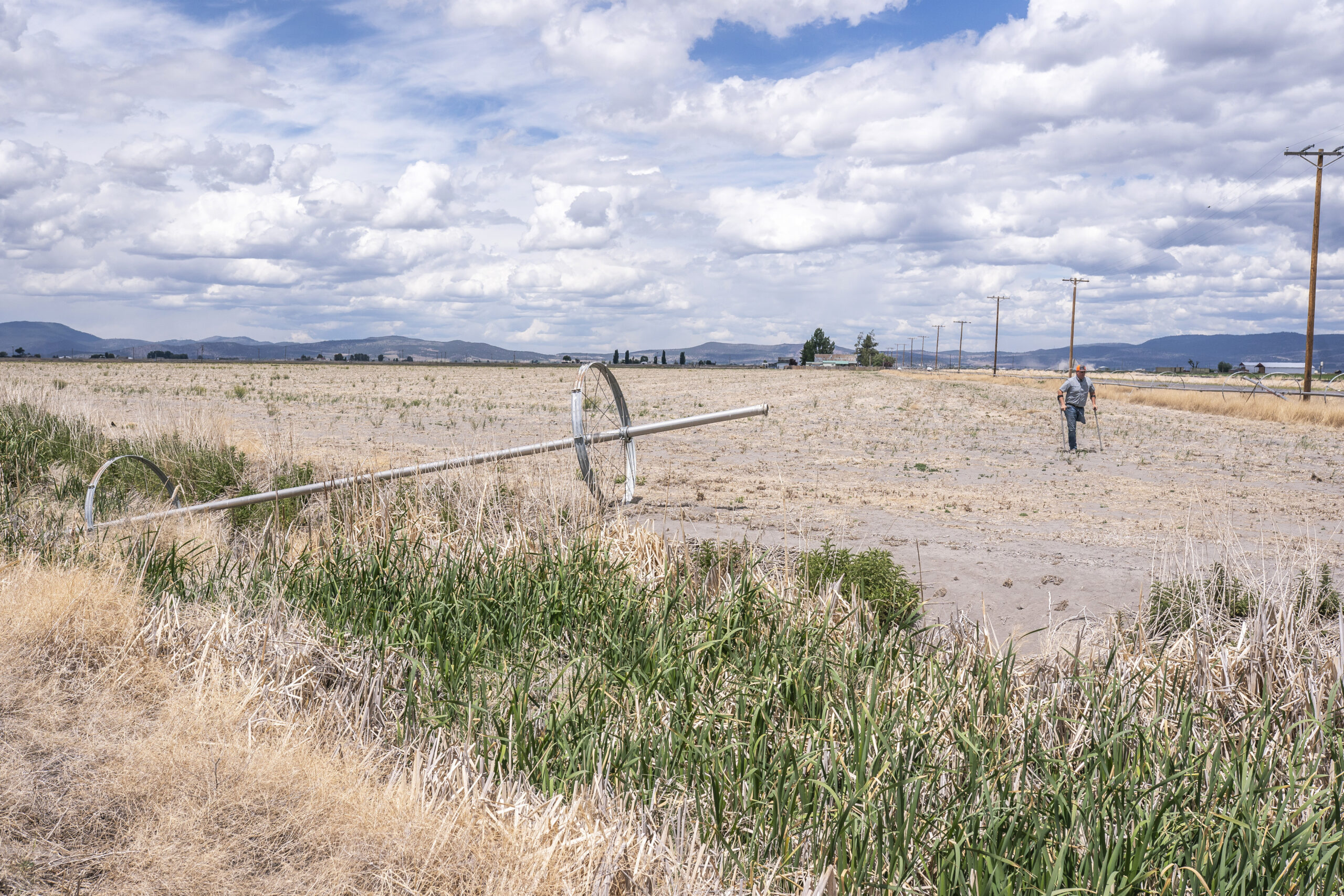 Drought relief approved for Oregon farmers as state reforms water well rules
