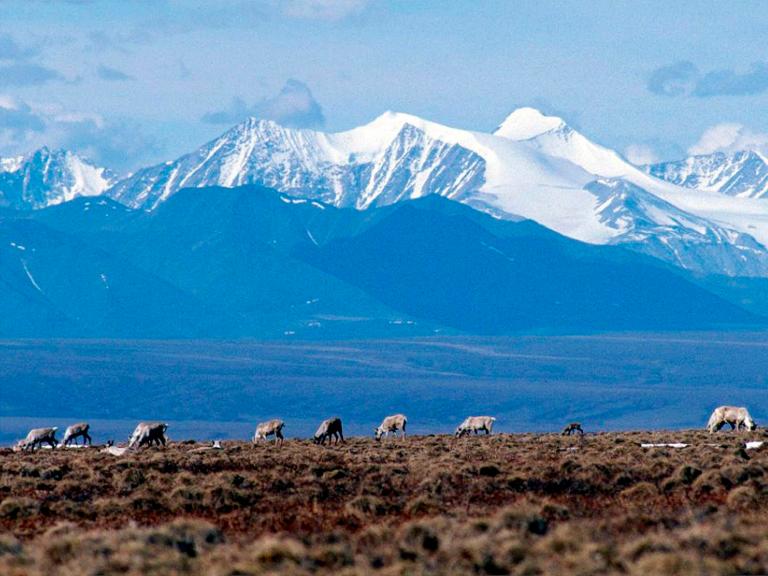 Biden administration to block drilling on millions of acres in Arctic Alaska