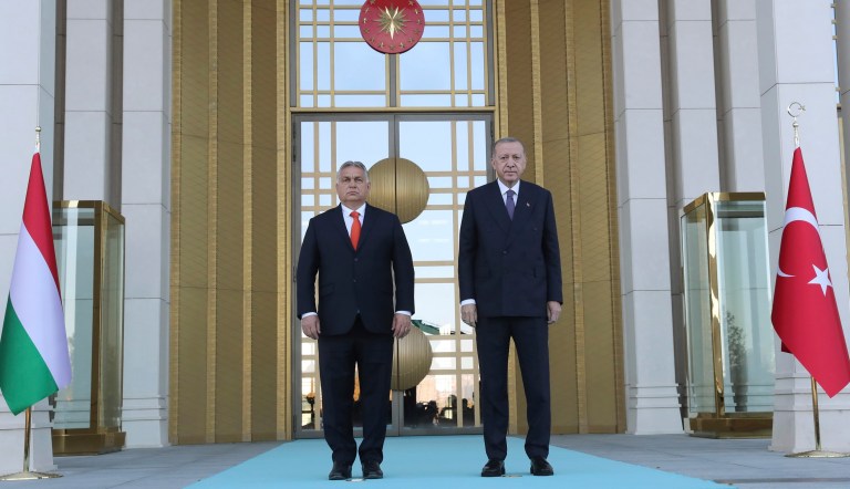 Turkey and Hungary should be suspended from NATO