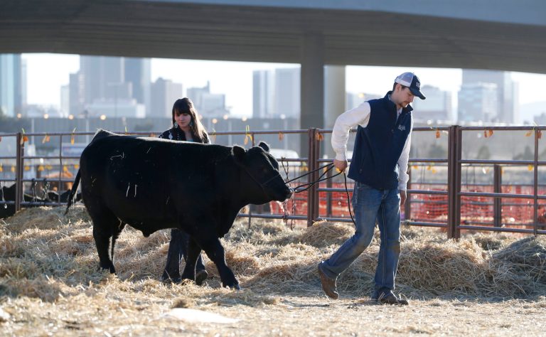 Colorado initiative draws ire of Weld County, agriculture industry