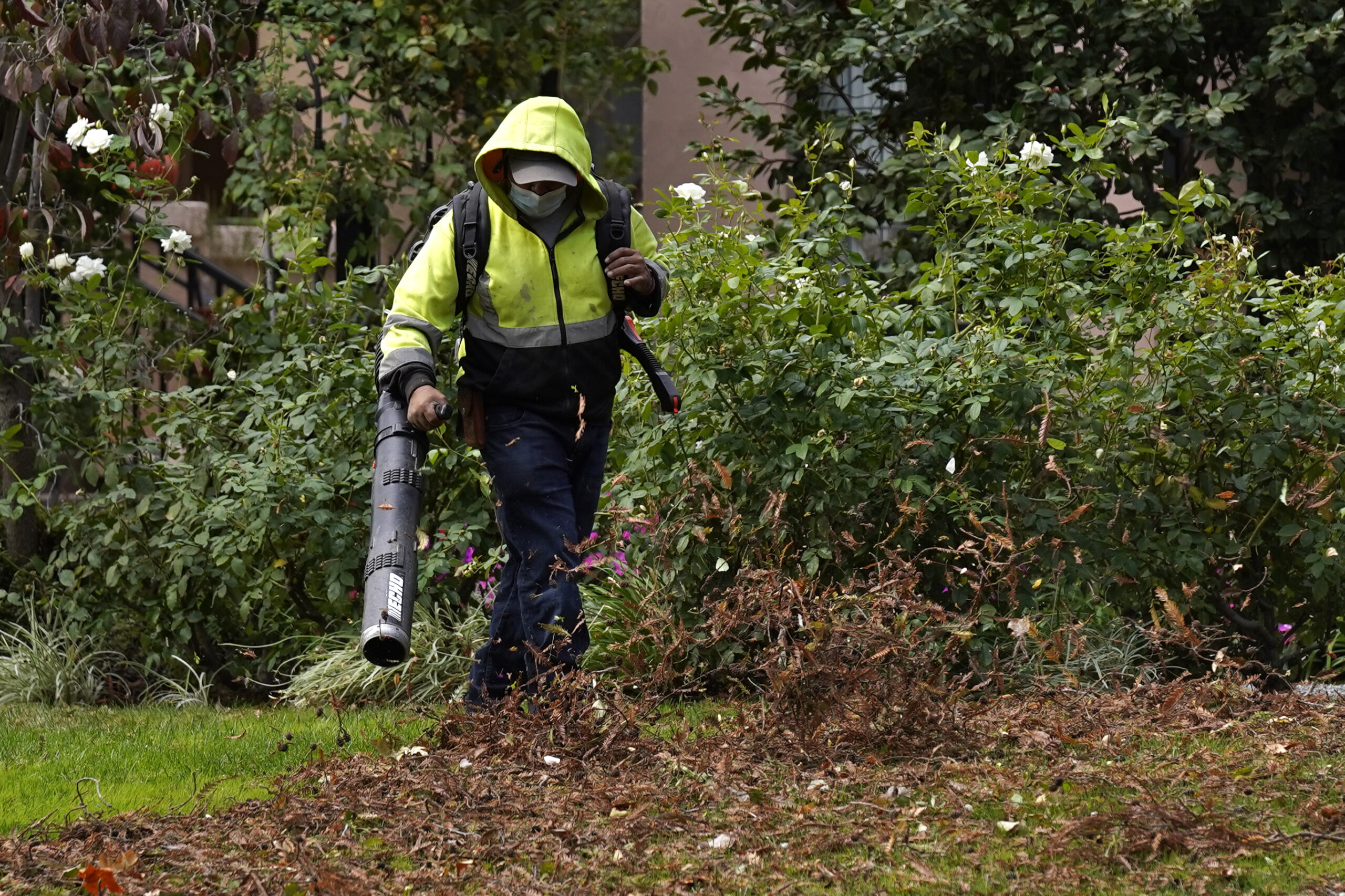 Portland plots ban on gas-powered leaf blowers as green restrictions inch into another city