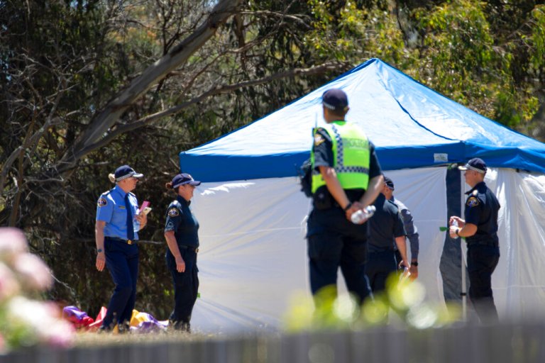 Five Australian children killed in bouncy castle incident