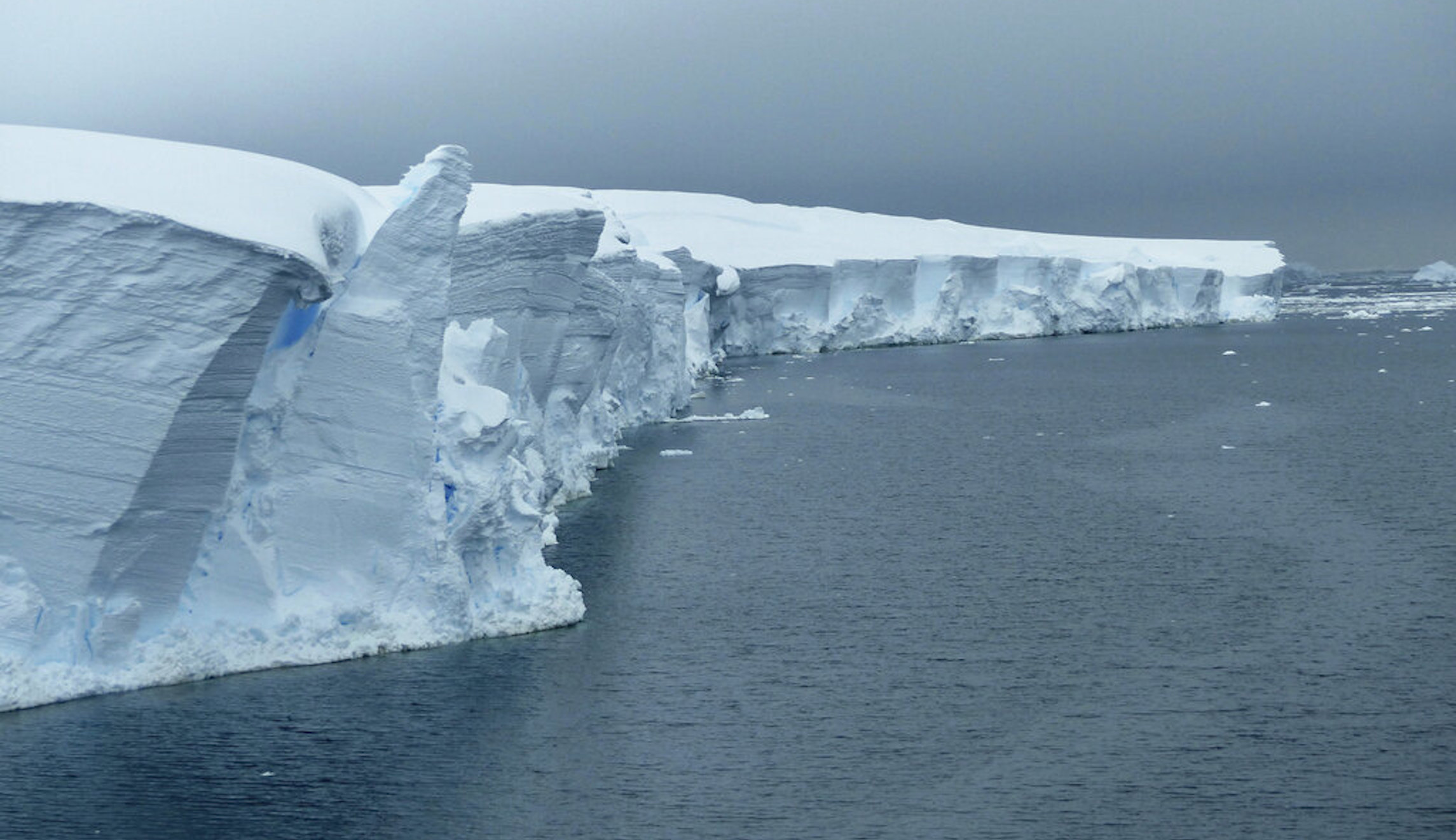 Scientists believe Antarctica’s Weddell Sea holds world’s largest fish nursery