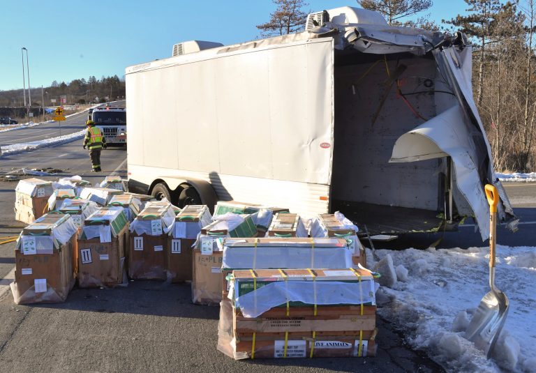 All monkeys accounted for after mass escape in Pennsylvania