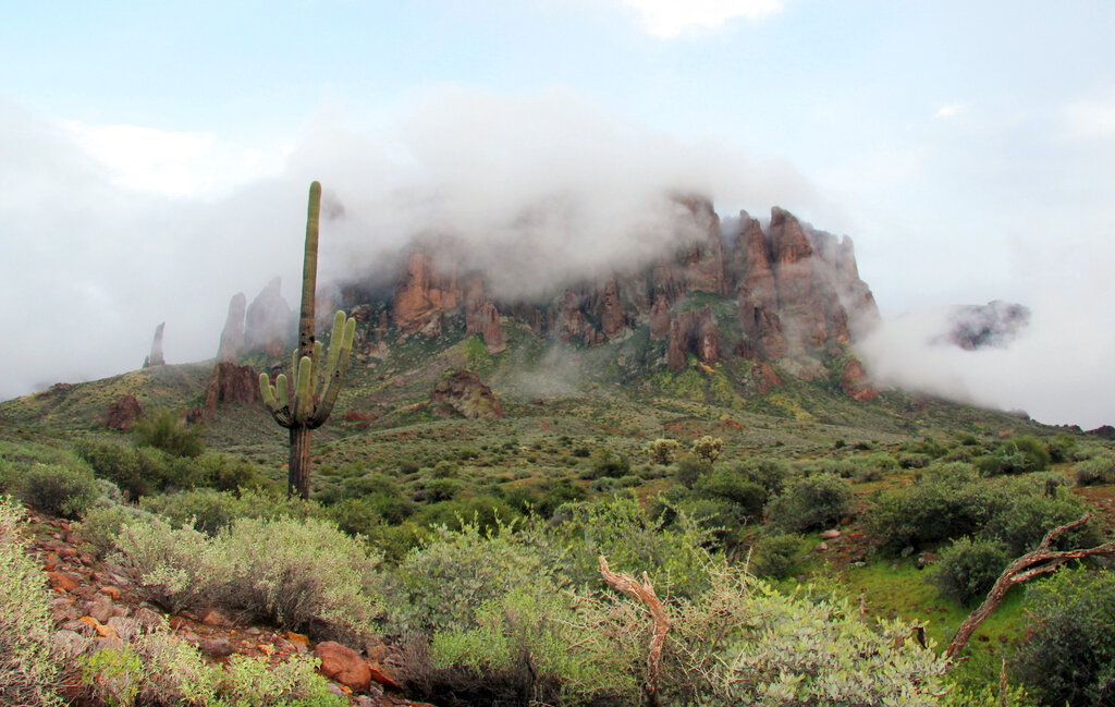 Hiker dies after selfie-related accident on Arizona trail
