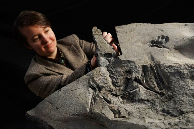 170-million-year-old pterodactyl skeleton found in Scotland