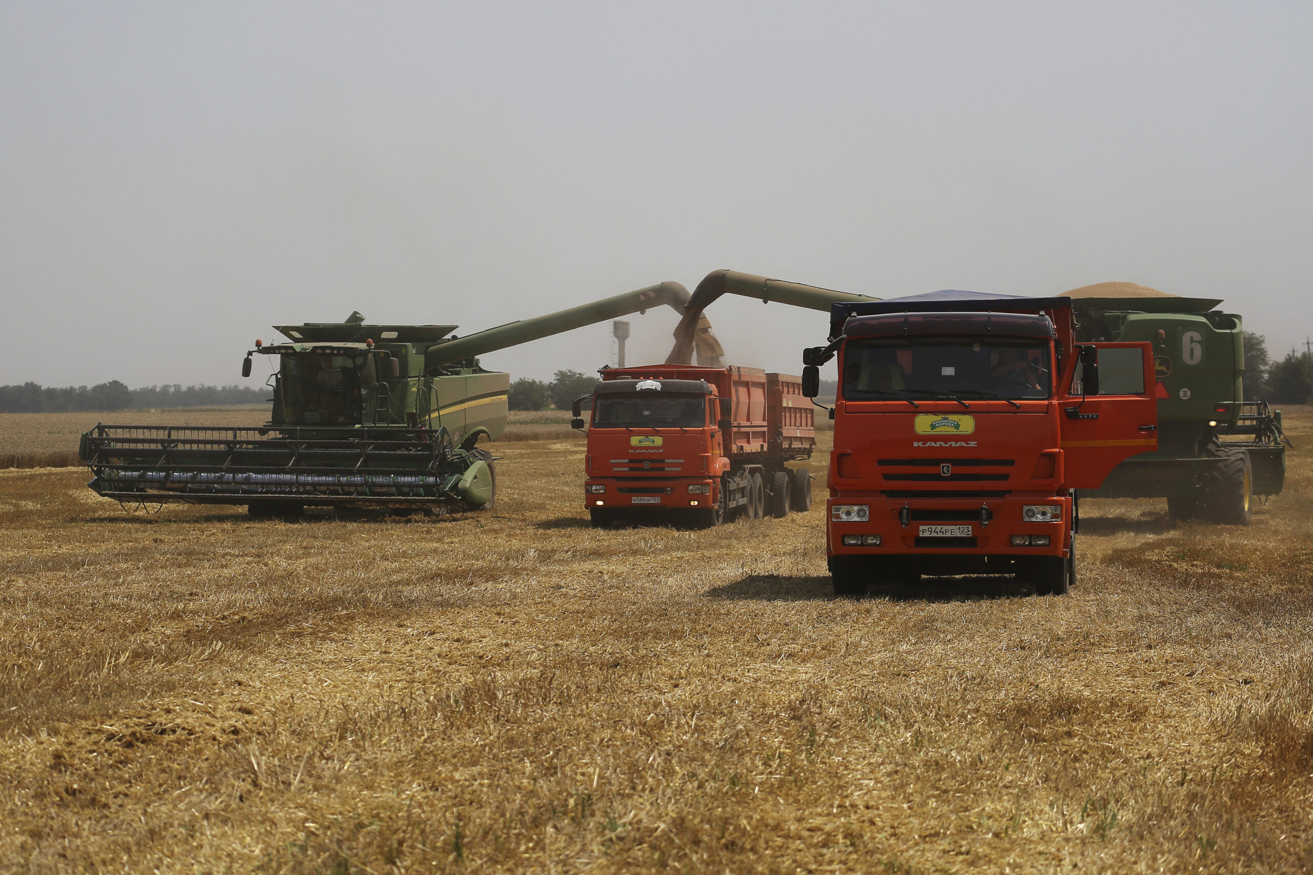 Russia could cease grain exports until end of June: Report