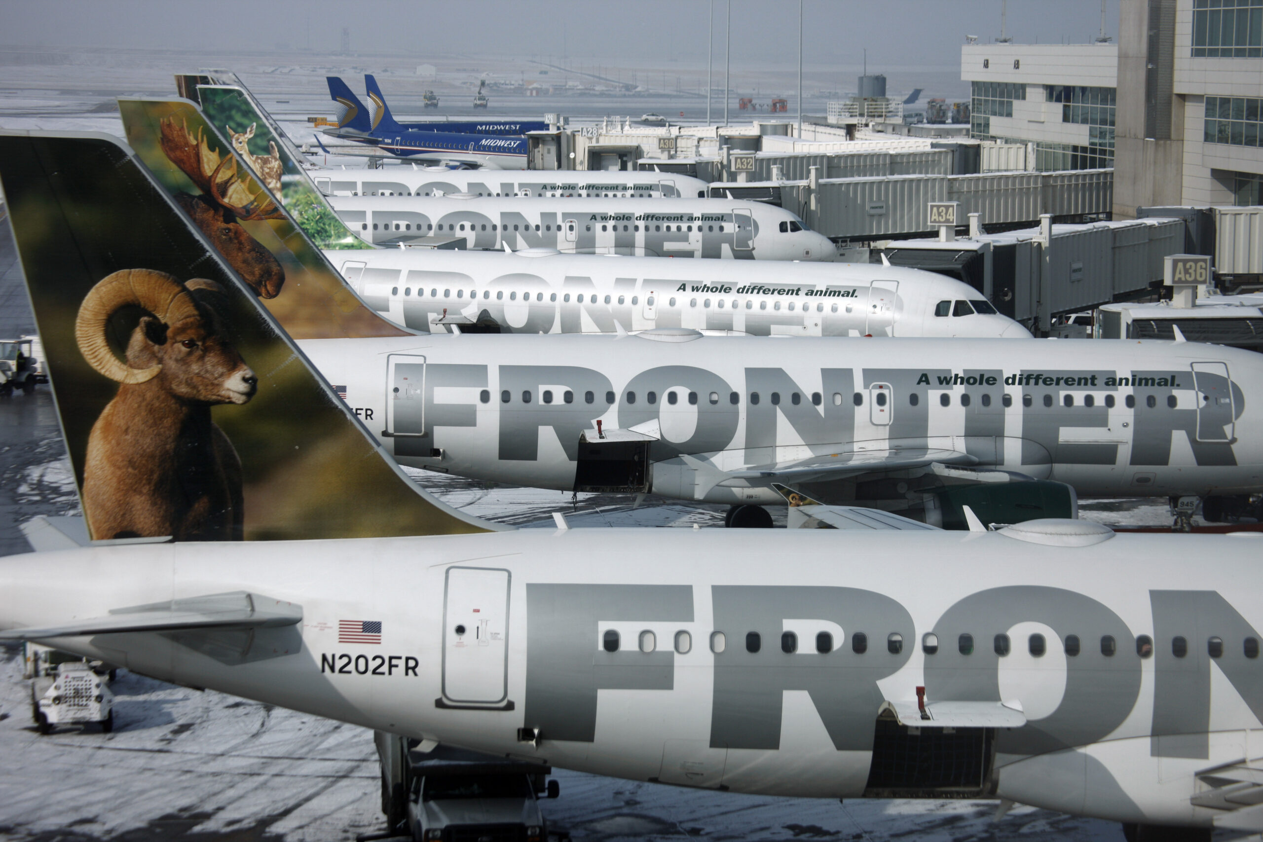 Flight attendant helps deliver ‘unexpected’ baby in airplane bathroom