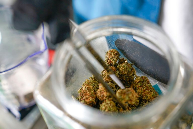 An employee measures out marijuana for a customer.