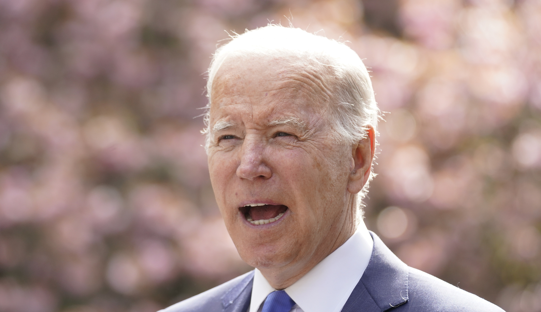 Biden references leaked McCarthy tape in Earth Day speech