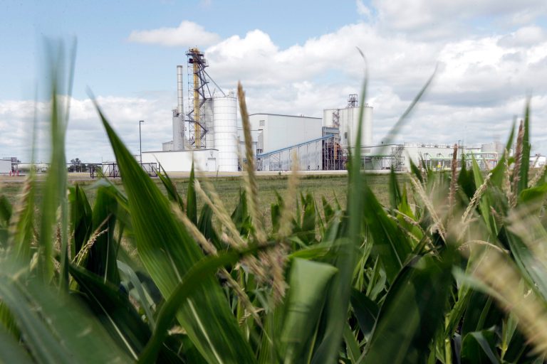 EPA proposes raising biofuel blending in 2023 and beyond in win for corn lobby