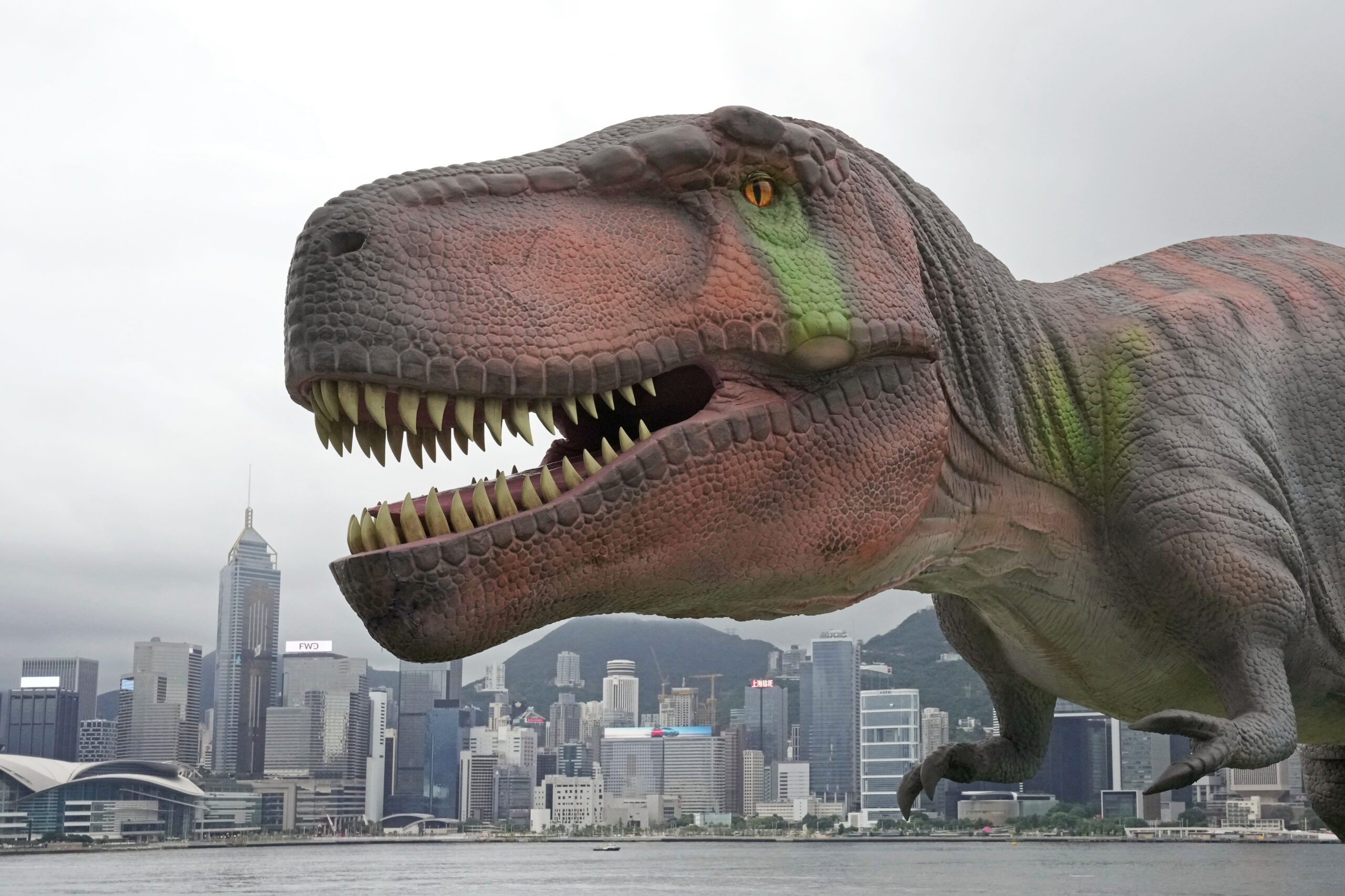 Paleontology world hit by a meteor with argument over T. rex classification