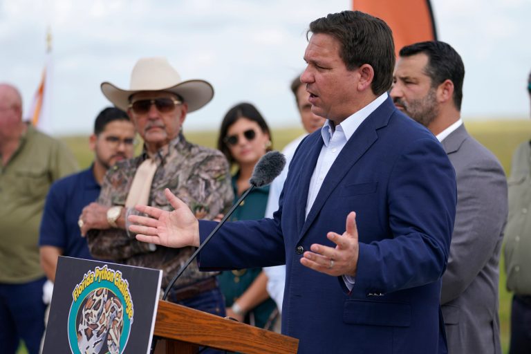 Liberal Media Scream: Joy Reid coddles reporter fired for hostility to DeSantis