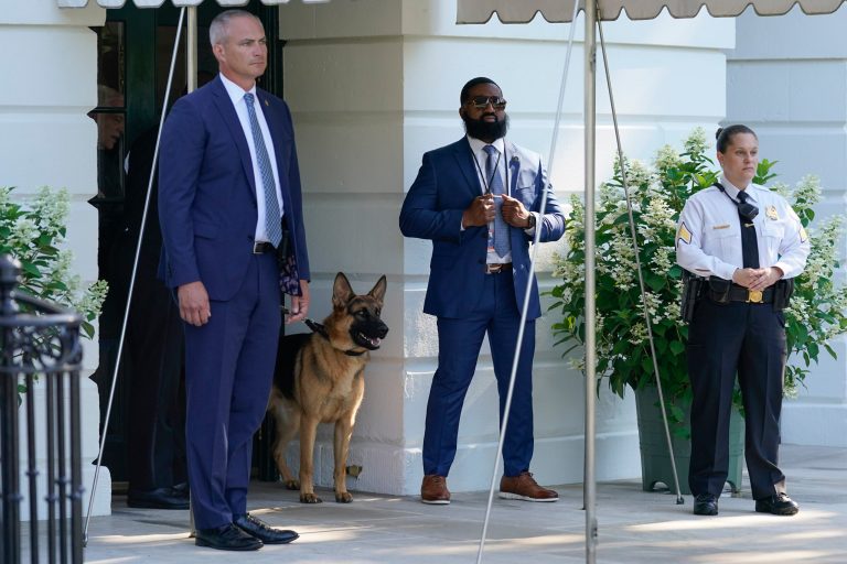 Biden’s new dog might also have a taste for the Secret Service