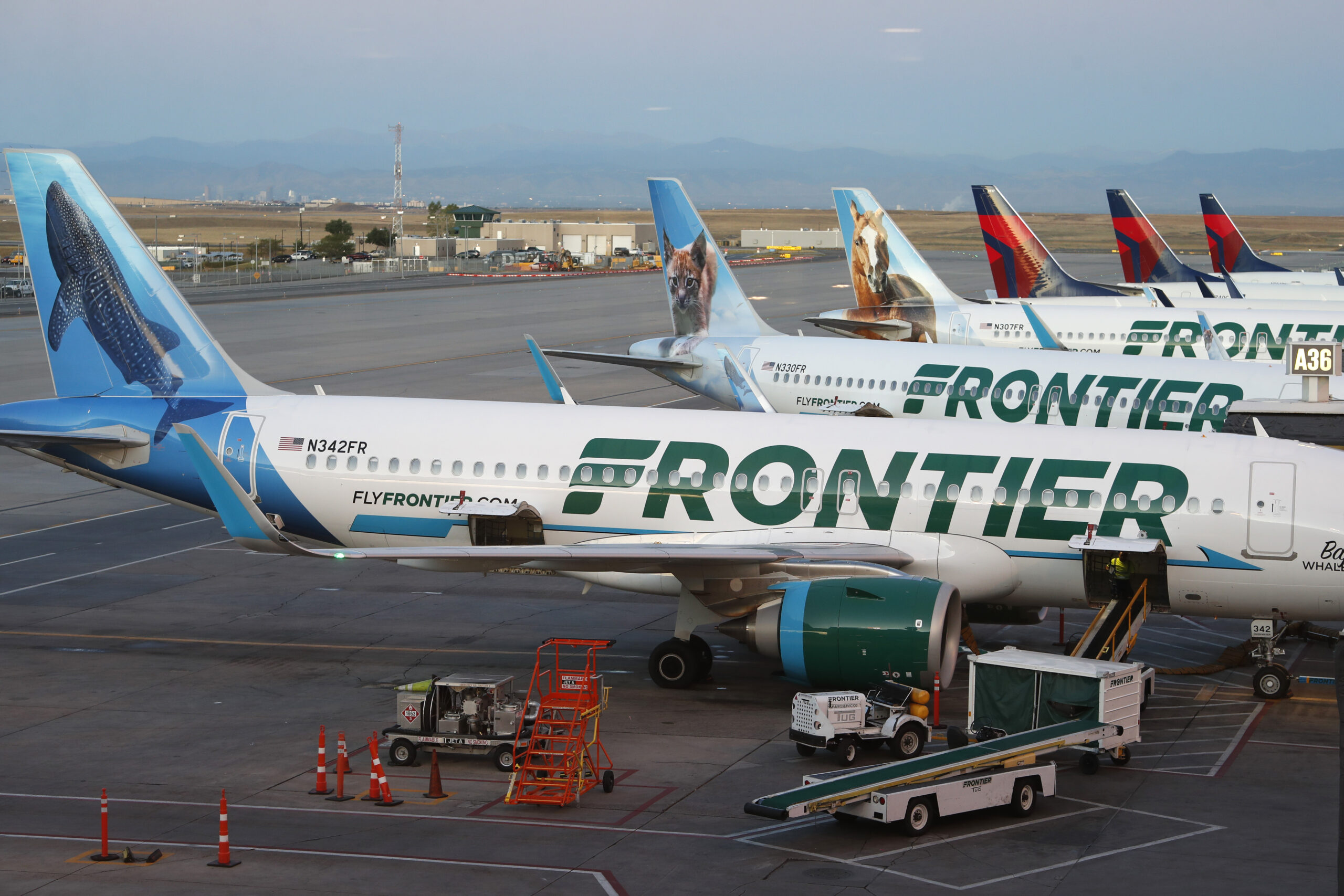 Airport baggage handler killed after hair gets tangled in loader