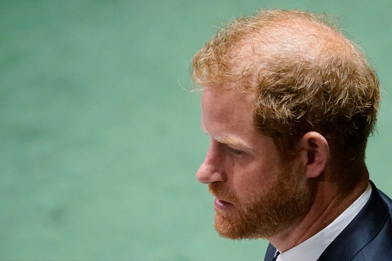 Ponce Harry, exceptional nitwit