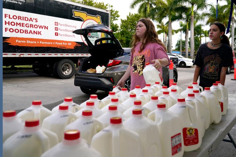 Vanessa Correa, left, and Gigi Fiske, right, pass out gallons of milk at a food distribution held by the Farm Share food bank in Miami. Long lines are back at food banks around the U.S. as working Americans overwhelmed by inflation turn to handouts to help feed their families.