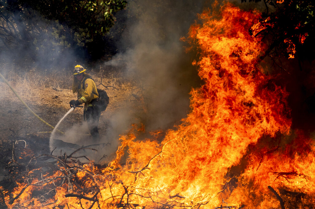 California forest fire burns out of control near Yosemite