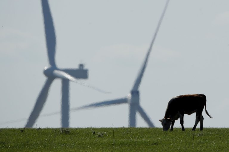FILE - A cow grazes in a pasture as wind turbines rise in the distance, April 27, 2020, near Reading, Kan. (AP Photo/Charlie Riedel, File)