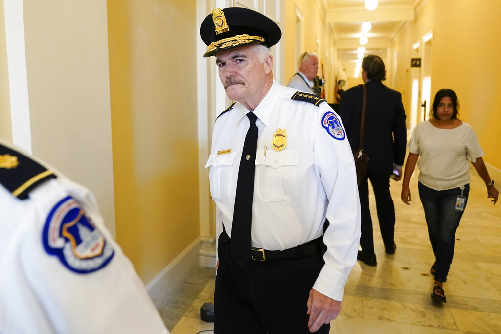 Capitol Police chief calls for more resources to protect lawmakers after Paul Pelosi assault