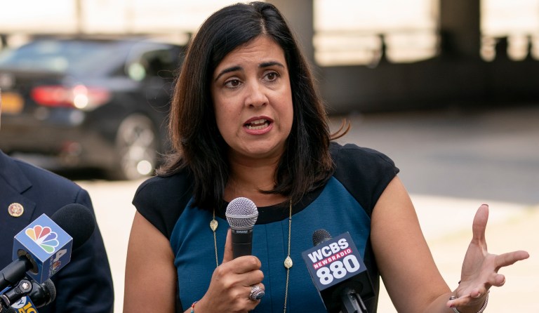 New York congresswoman sounds alarm over possible voter registration of noncitizens