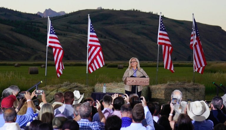 Cheney takes aim at Trump in concession speech, says ‘the real work begins’ now