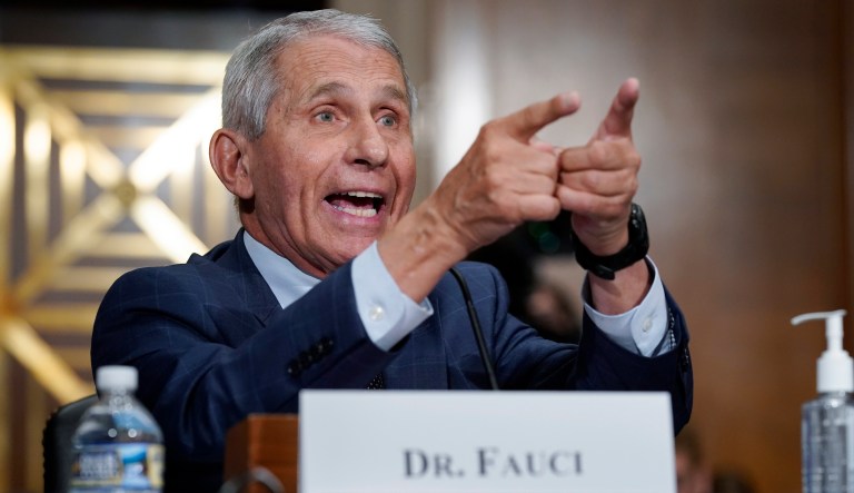 Will the Justice Department protect Fauci too?
