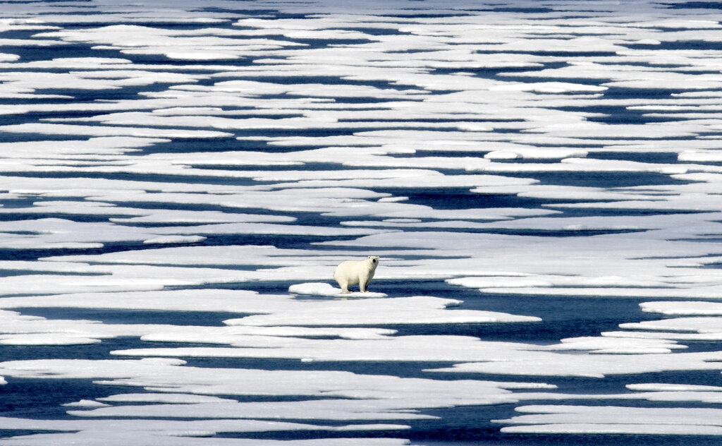 Americans really aren’t whipped up over climate change: Polls