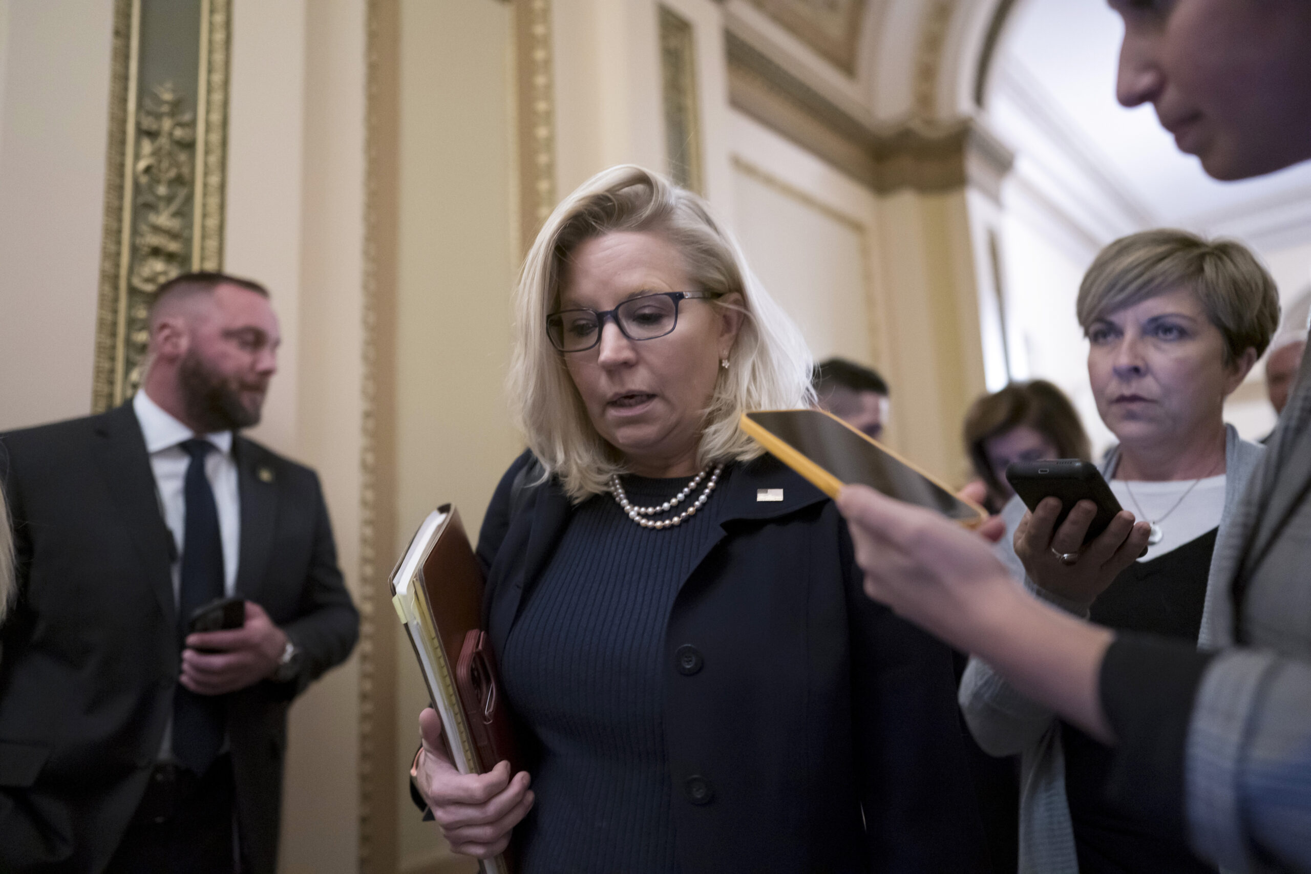 Liz Cheney is ‘not choosy’ about having liberal Democrats among her fans