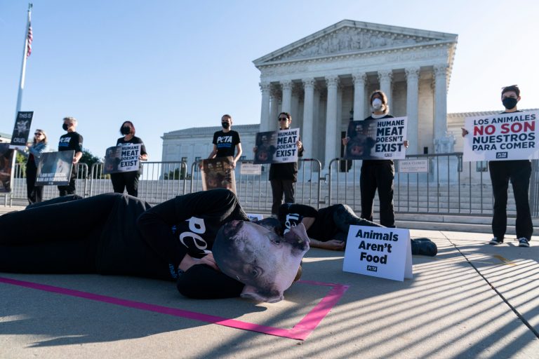 Supreme Court upholding California pork producer law could affect abortion pill suit