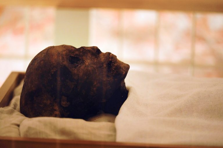 British museums shift ‘mummy’ language to ‘mummified persons’ to honor dead