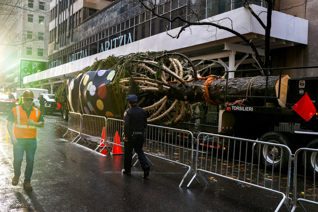 Holiday arrival: Rockefeller tree ushers in Christmas season