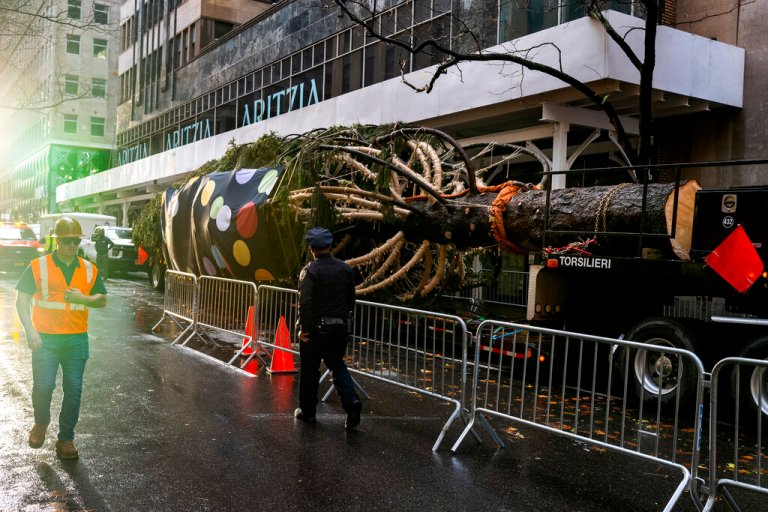 Holiday arrival: Rockefeller tree ushers in Christmas season