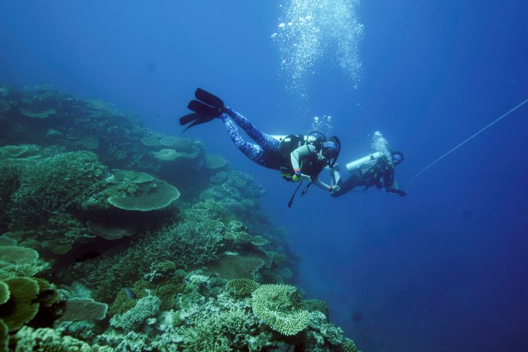 Two divers from the Reef Magic cruise swim above corals on Moore Reef in Gunggandji Sea Country off the coast of Queensland in eastern Australia on Nov. 13, 2022. (AP Photo/Sam McNeil)