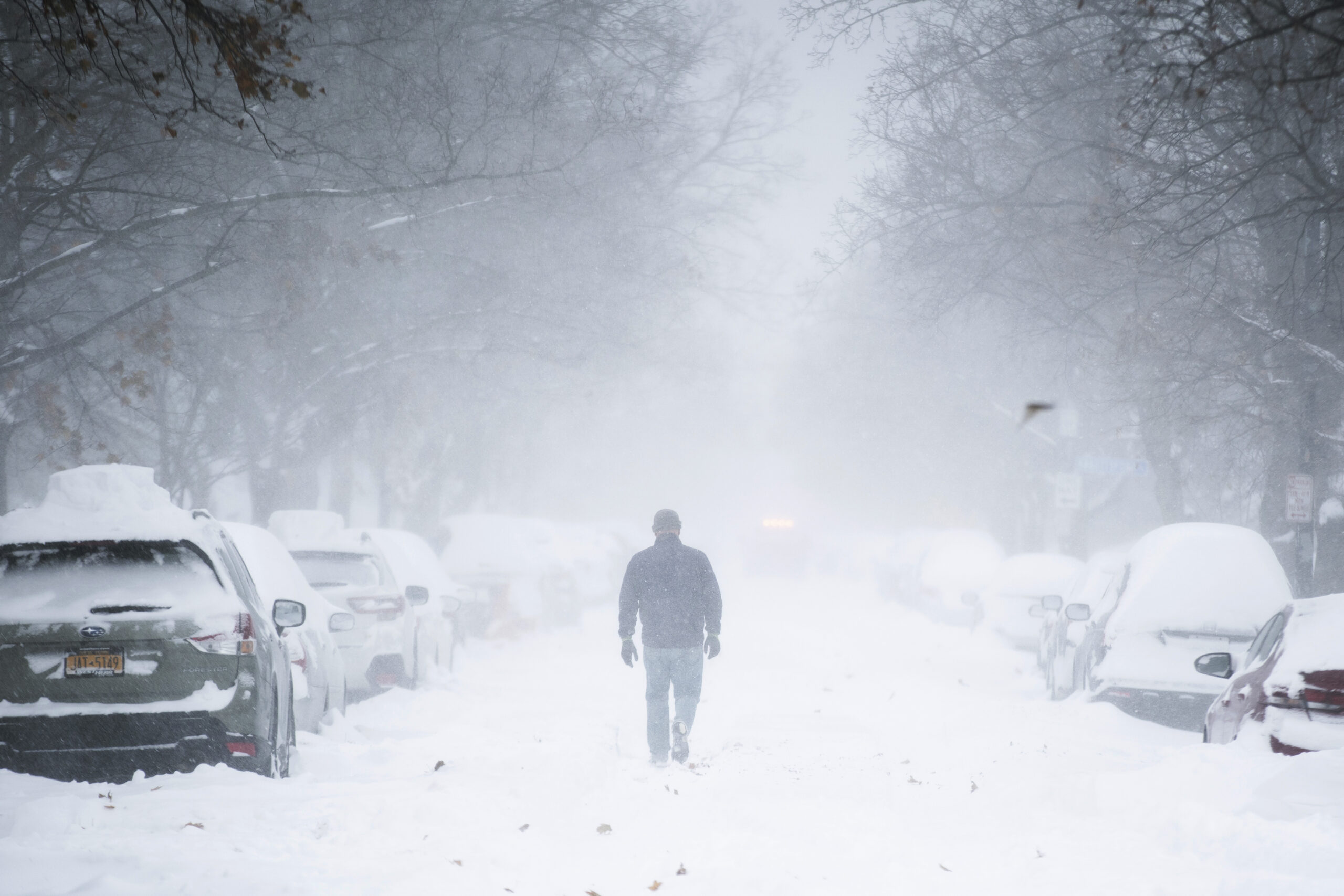 Historic New York snowfall causes nearly 90 car crashes, shuts down airport