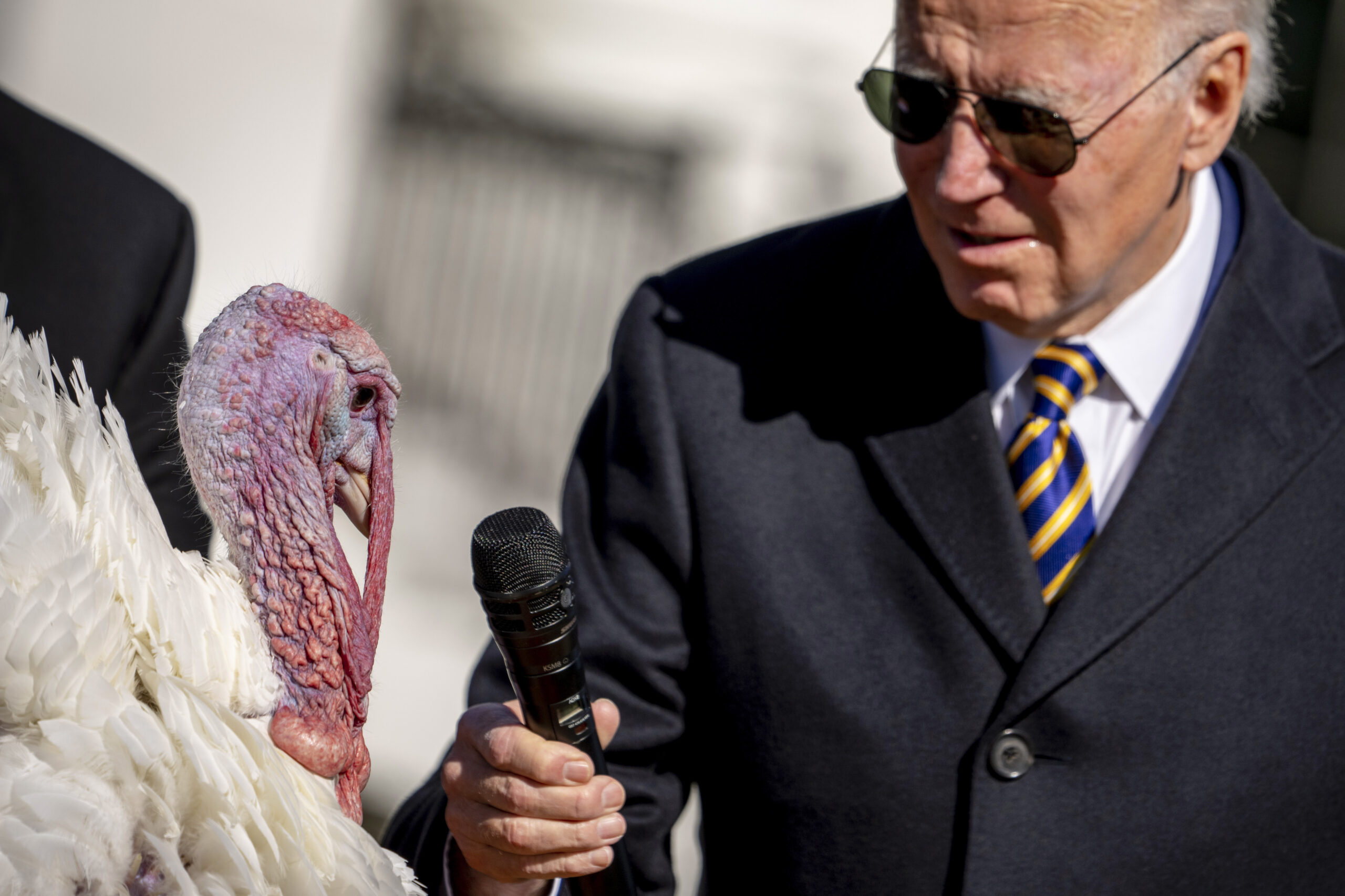 White House mum on whether Biden reelection discussion on Thanksgiving menu