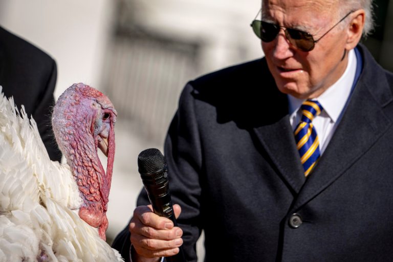PETA lays groundwork for alternative Thanksgiving turkey pardon