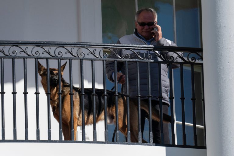Secret Service: Biden dog would be ‘put down’ if not president’s pet