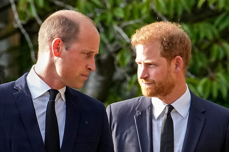 Prince Harry accuses brother of spreading ‘negative’ stories about him and Meghan