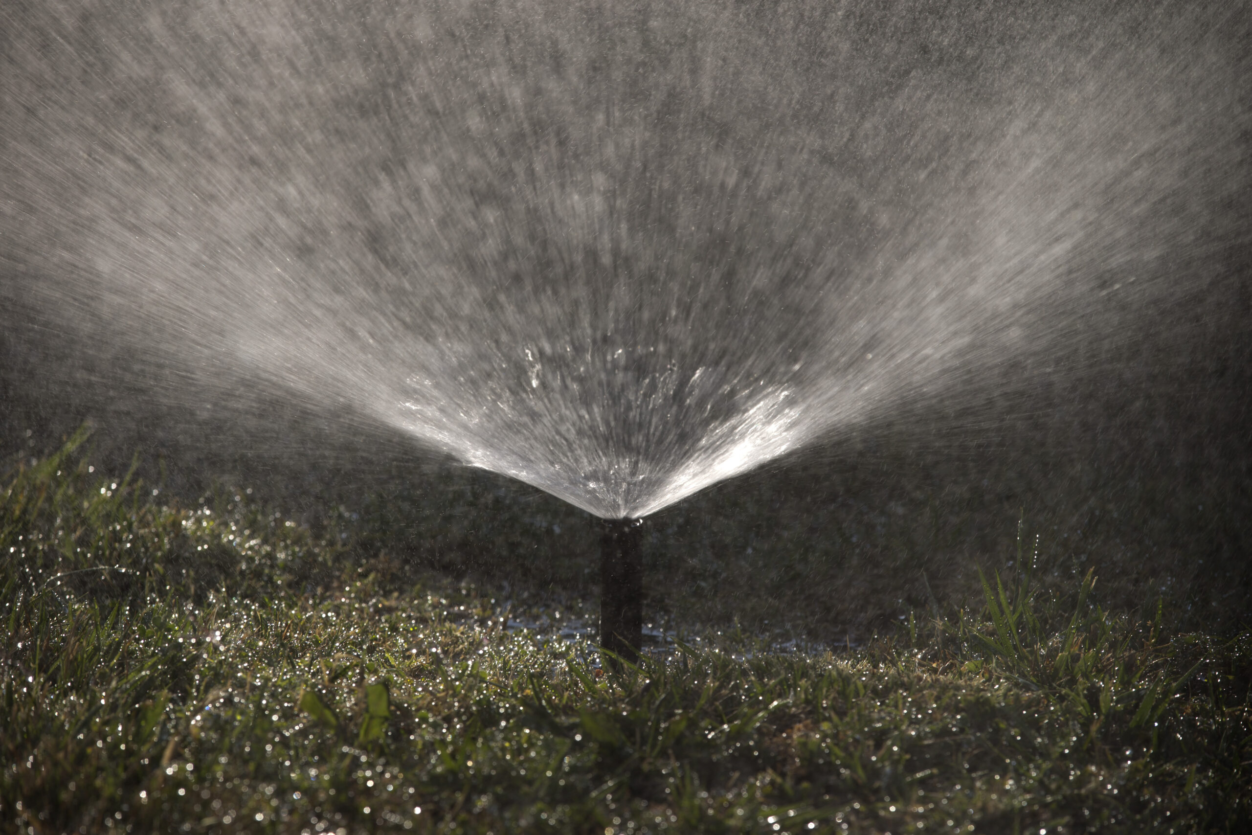 Southern California rescinds water restrictions after mass rainfall