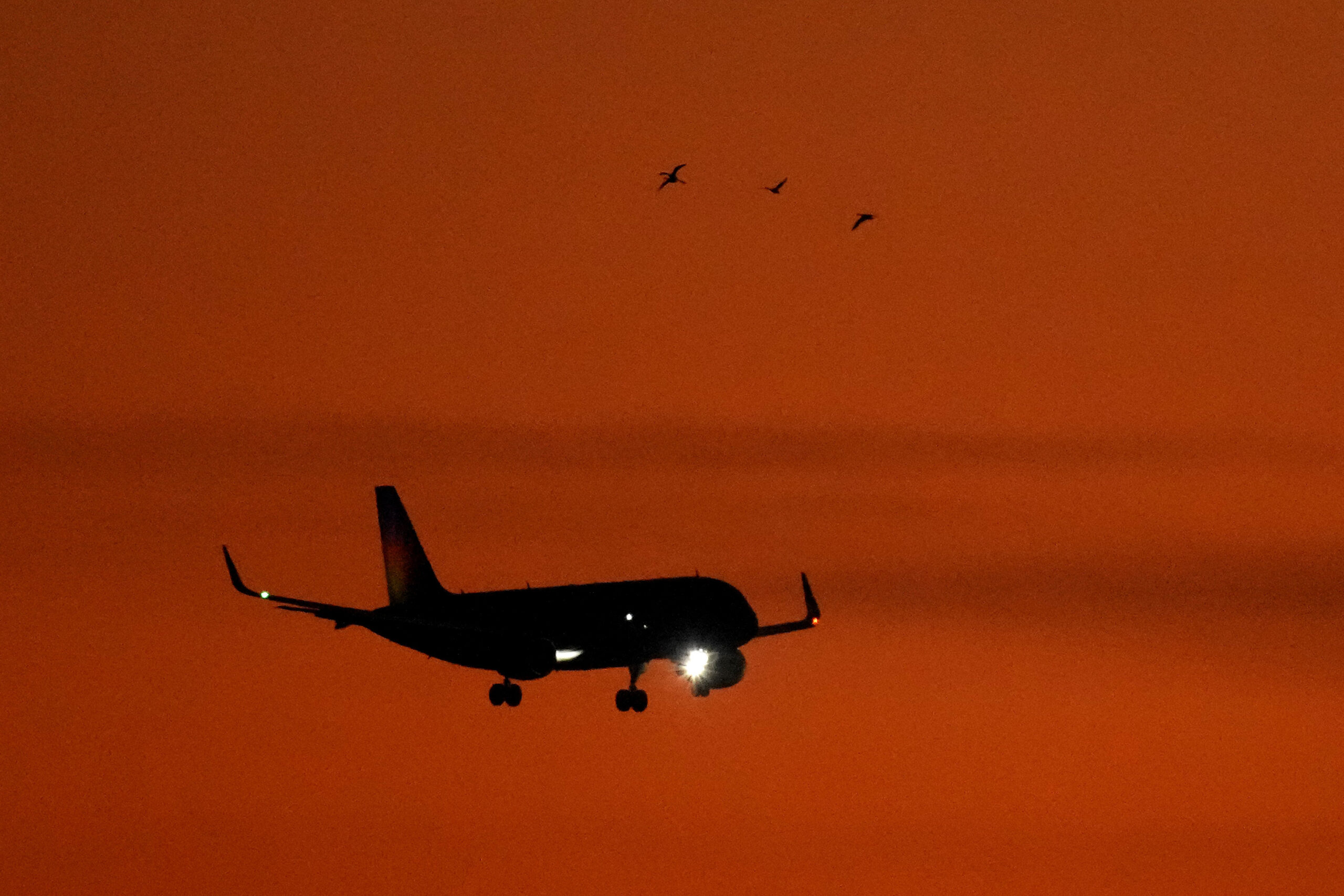 Kansas City’s new airport is quiet, smells like barbecue, and involves lots of walking