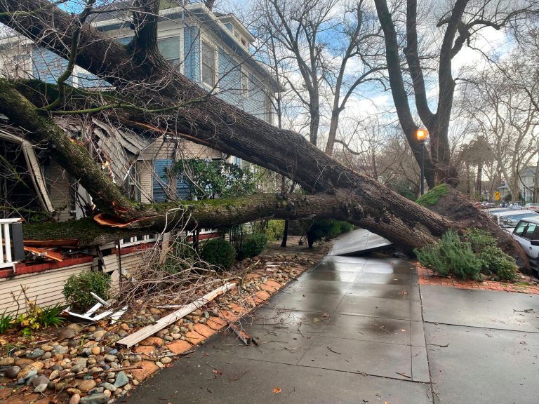 A tree collapsed and ripped up the sidewalk damaging a home in Sacramento, California, Sunday, Jan. 8, 2023. The weather service's Sacramento office said the region should brace for an even more powerful storm system to move in late Sunday and early Monday. âWidespread power outages, downed trees, and difficult driving conditions will be possible,