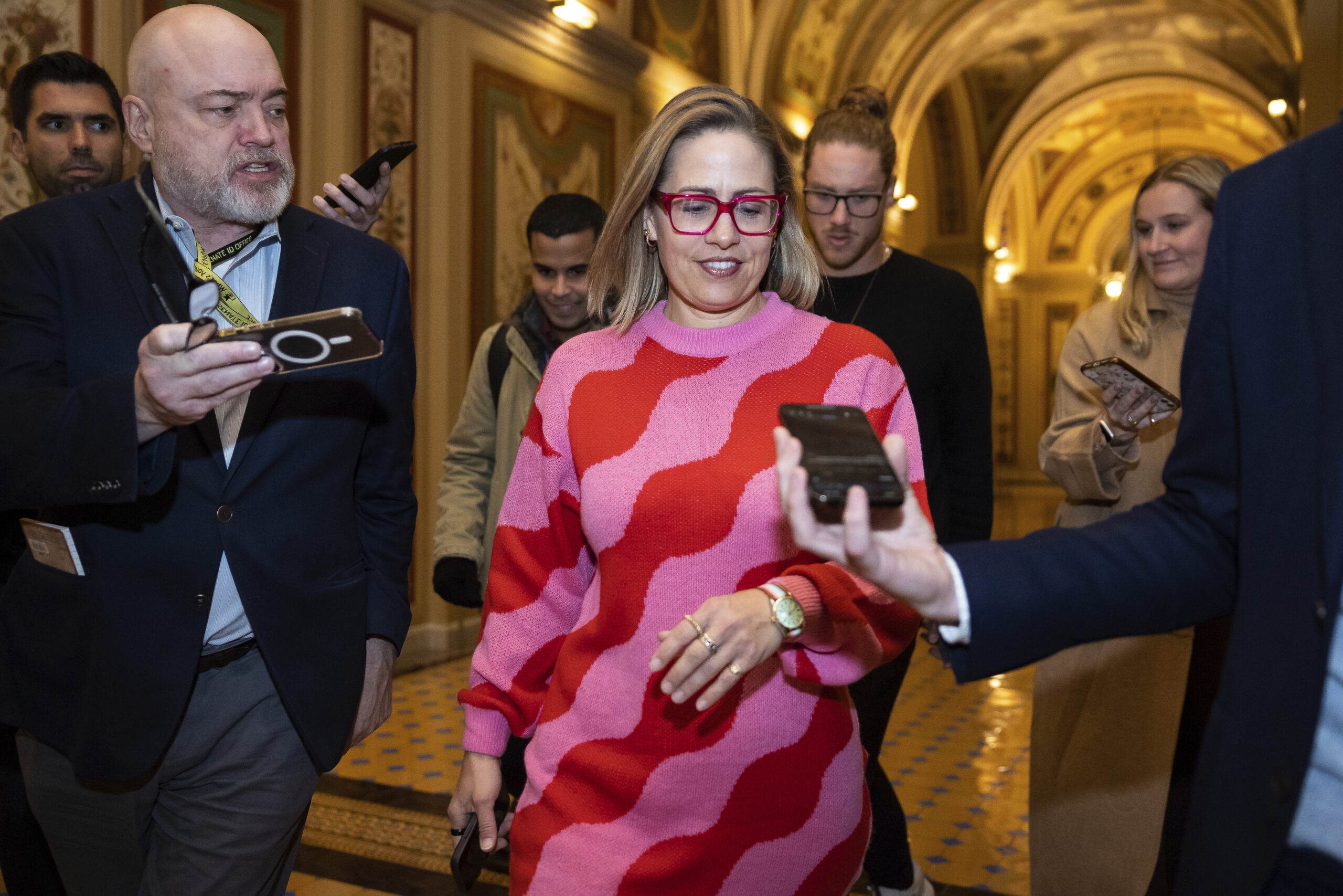 Sinema passed over for Appropriations after Democratic Party defection