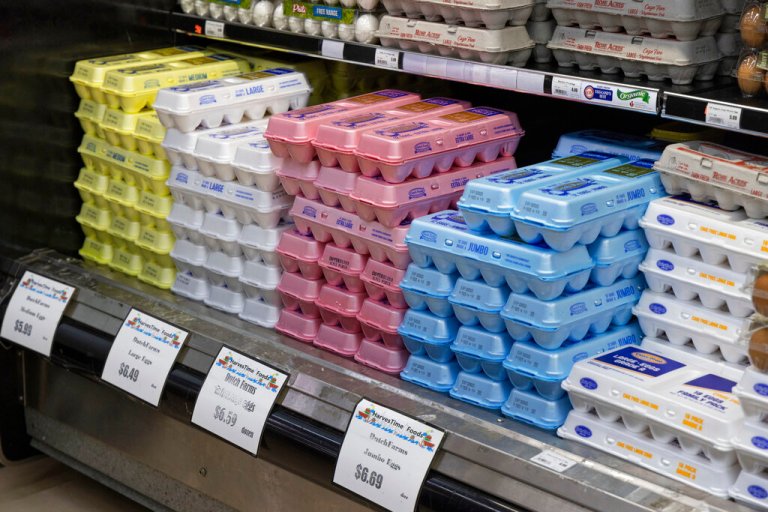 FILE - Cartons of eggs are on display at HarvesTime Foods on Thursday in Chicago.  (AP Photo/Teresa Crawford, File)