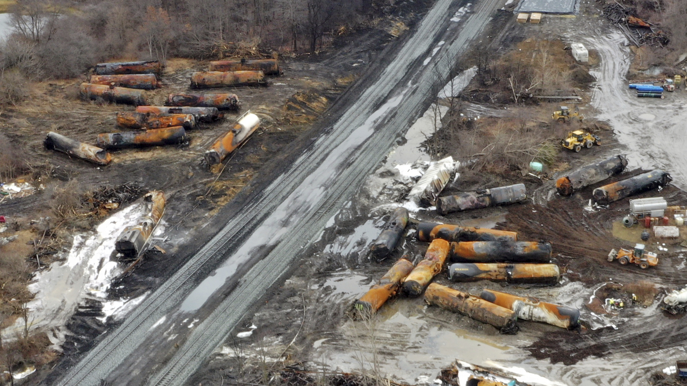 Fish, chickens, and foxes: Ohioans say animals getting sick after train crash