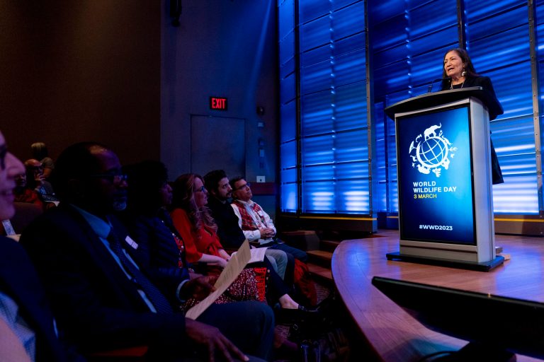 Interior approves giant Alaska oil project against environmental objections