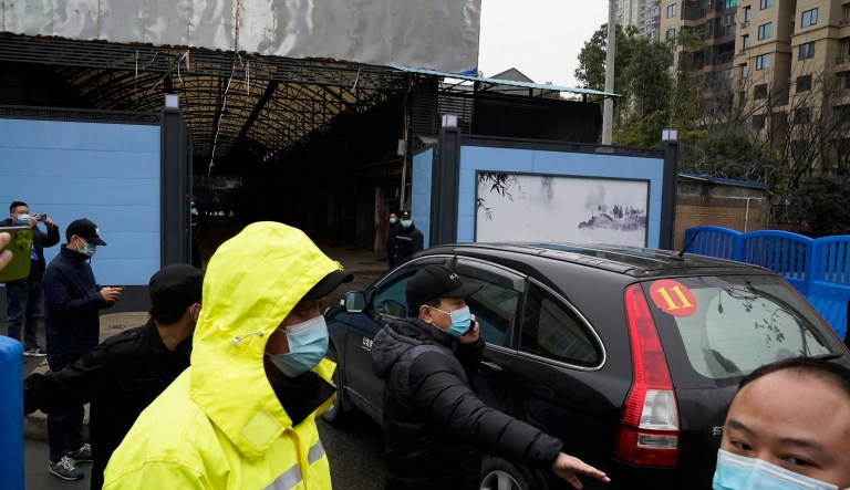 The proximal origin of a scientific fraud