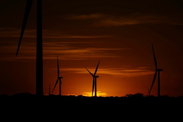 Texas House passes bill to curb renewable energy growth