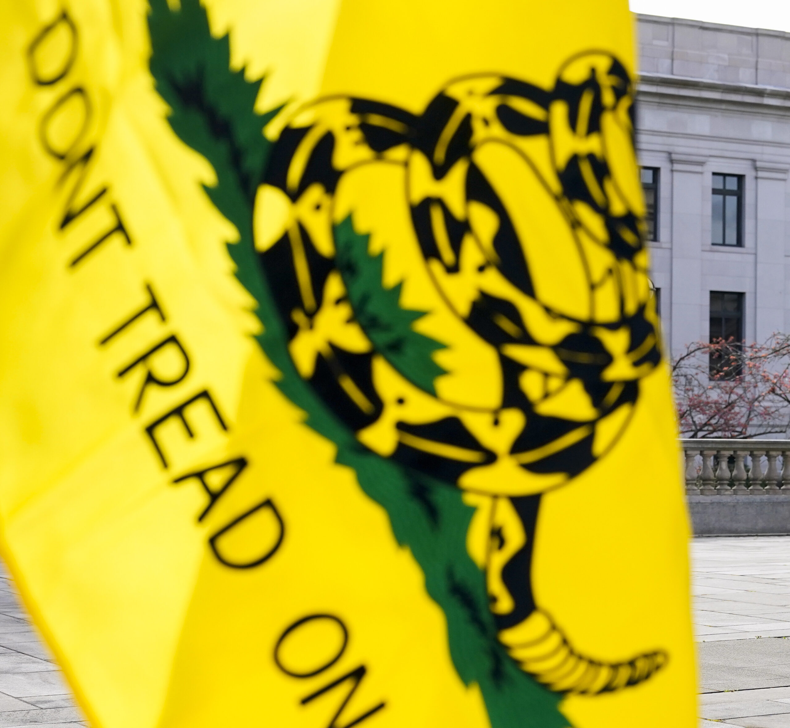 School kicks 12-year-old out of class for ‘Don’t Tread On Me’ patch