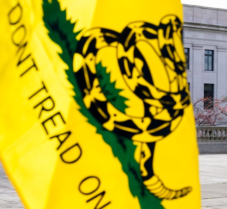 School kicks 12-year-old out of class for ‘Don’t Tread On Me’ patch